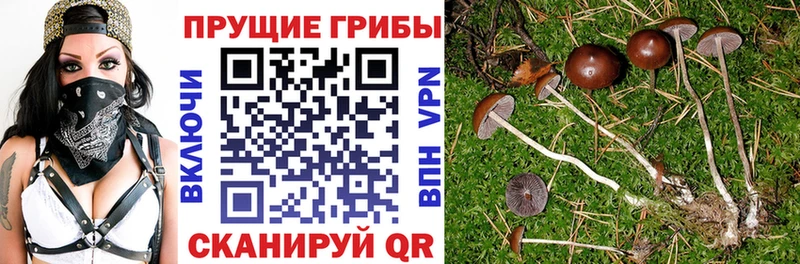 Псилоцибиновые грибы Magic Shrooms  наркотики  Нефтекамск 
