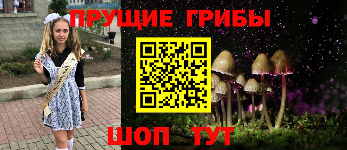 дарнет шоп  Галлюциногенные грибы Psilocybine cubensis  Вход с VPN  Нефтекамск 